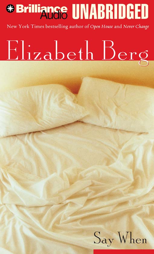 Title details for Say When by Elizabeth Berg - Wait list